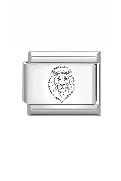 MOD10 Steel Lion Head Charm