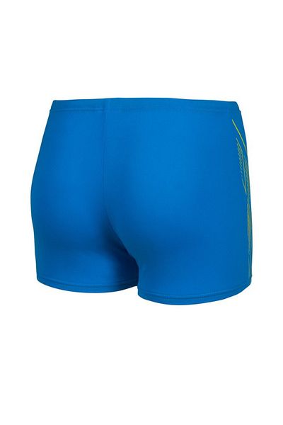 ARENA Boy's Reflective Swim Kids Swim Trunks 007341720