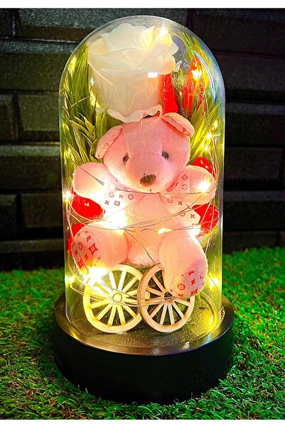 lenostra Sevgiliye Hediye Ablaya Hediye Arkadaşa Hediye Kardeşe Hediye Ayıcık...