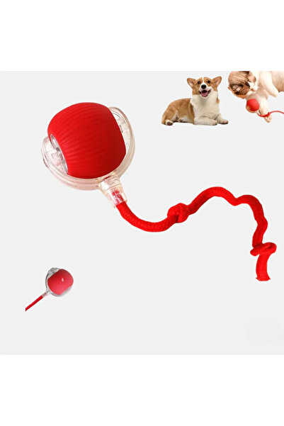 mywarehouse Yeni Nesil Hareketle Aktifleşen, Sensörlü Akıllı Kedi & Köpek Topu