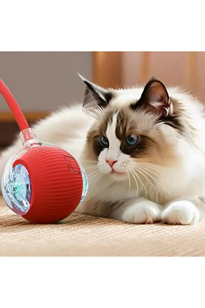mywarehouse Yeni Nesil Hareketle Aktifleşen, Sensörlü Akıllı Kedi & Köpek Topu