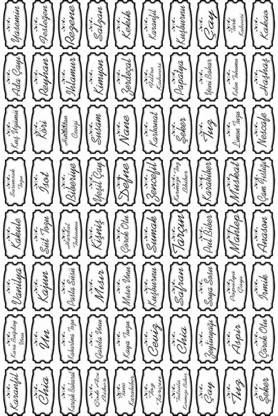 TayFa - Şeffaf 70 Çeşit Baharat Kavanoz Düzenliyeci Etiket Sticker