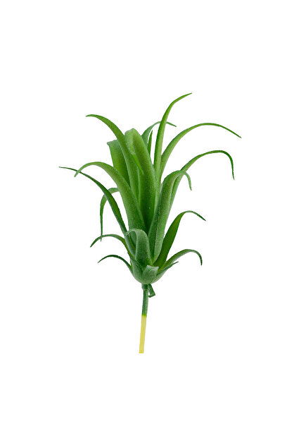 Dekorsende ريشة صناعية تيلاندسيا عصارية أخضر فاتح 17 سم