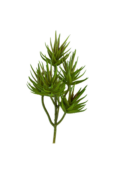 Dekorsende Ghirlandă de plante suculente artificiale cu frunze de ac verde de...