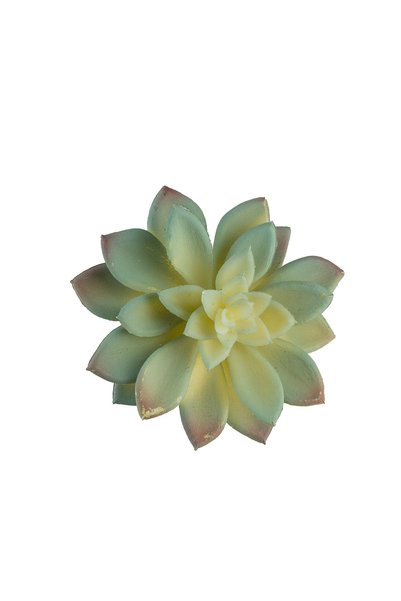 Dekorsende Suculentă artificială Echeveria mini cu carne verde deschis 12 cm