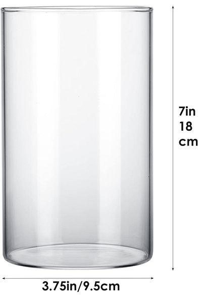 Home Zone Set of 6 Clear Glass Cylinder Vases 7 Inch (18 cm) Tall Flowers Vases