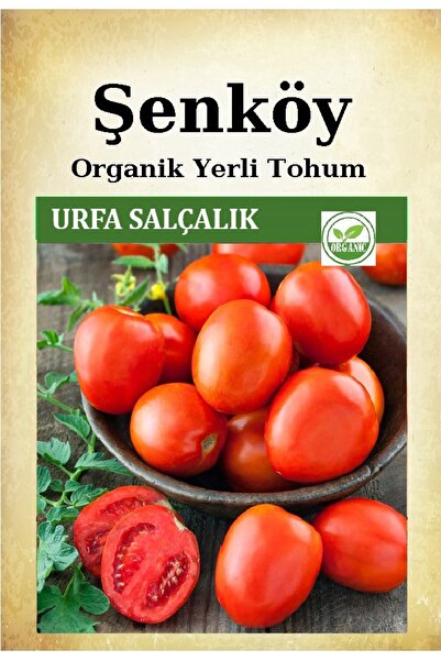 Şenköy Yerli Urfa Salçalık Domates Tohumu Doğal Ata Tohum Pakette 10 gr 2500 ...