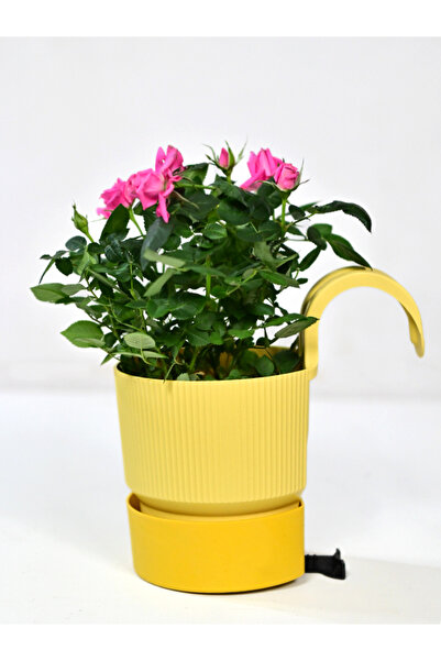 Poliwork 1 ADET IXORA TEKLİ ASKILI BALKON SAKSI SARI RENK 2 LT GENİŞLİK 15 CM...