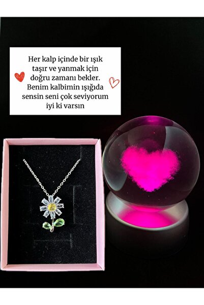 Sepetten Eve Papatya Çelik Kolye Aşk Küresi Kar Küresi Işıklı Küre hediyesi ö...