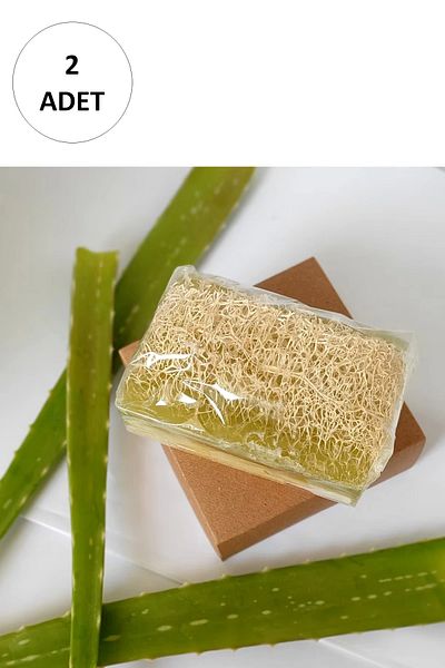 Royaleks 2 Pieces Natural Pumpkin Fiber Alovera Soap