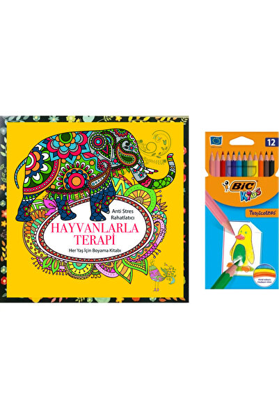 Bic Mandala Büyükler Için Boyama 12 Renk Kuru Boya Kalemi M.s