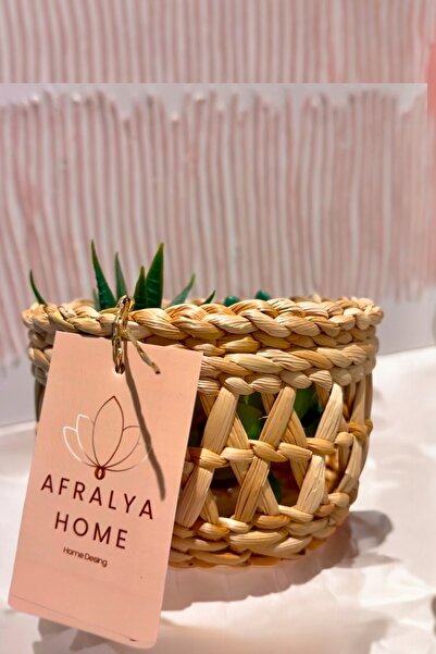 afralya home Naturel Hasır El Yapımı Minik Saksı Kaktüs Sukulent Saksısı 10 c...