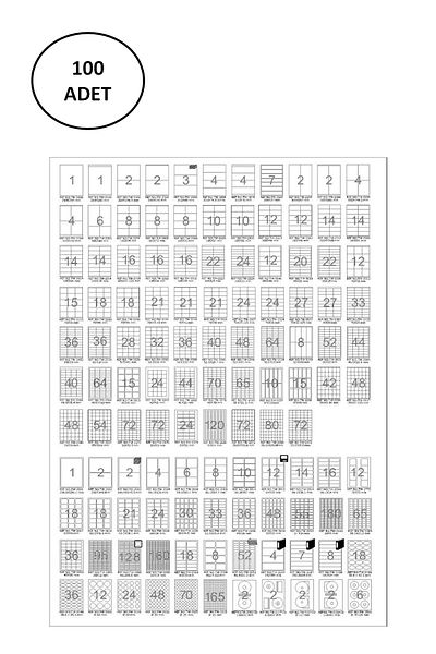 Tanex TW-2100 210x280 mm 100 Pack Coated Laser Label