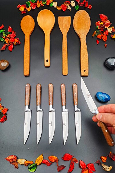 SWENCRAFT 10 Pieces Set 6 Pieces Steak Kitchen Fruit Vegetable Knife and 4 Pieces Natural Wood Serving Scoop Spoon Set
