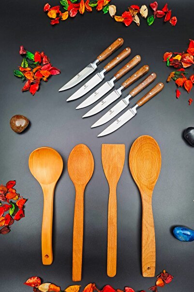 SWENCRAFT 10 Pieces Set 6 Pieces Steak Kitchen Fruit Vegetable Knife and 4 Pieces Natural Wood Serving Scoop Spoon Set