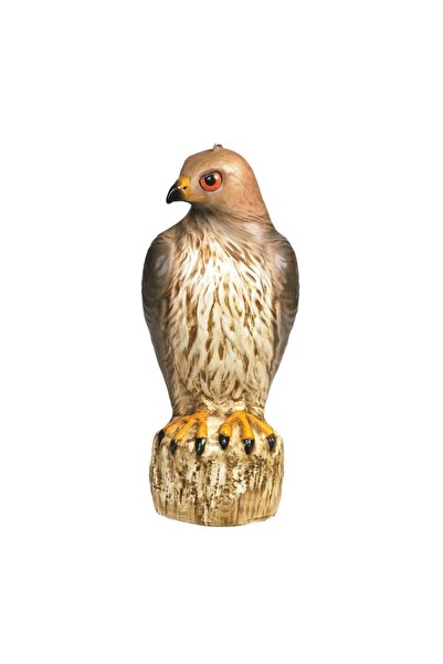 Bird B Gone مجسم طائر الصقر ذو الذيل الأحمر، طارد للطيور والقوارض من البلاستي...