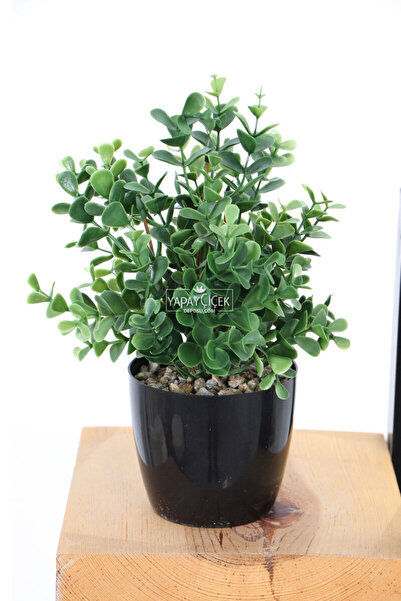 Yapay Çiçek Deposu Eucalipt artificial cu frunze dense albastru cobalt ılı 25 cm