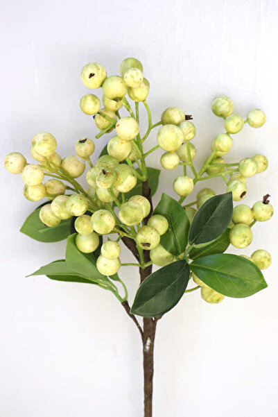 Yapay Çiçek Deposu Изкуствена пяна Кокина клон 35 см светлозелена