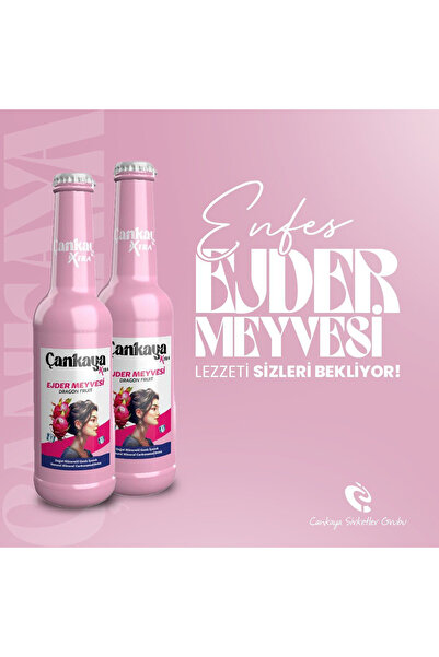 Çankaya Çankaya Ejder Meyvesi 250 ml (6 adet)