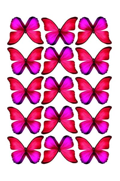 EyER Shoping ورق صور سميك لامع 220 جرام لباقة الفراشات مقاس كبير 30 قطعة فوشيا