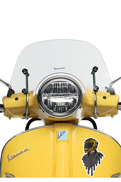 MegaSticker Helmet Biker Sticker Car, Motorcycle, Helmet, Laptop, Glass Sticker 14X9 cm