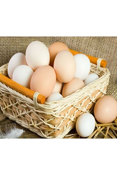 bodrum organik pazar GÜNLÜK ORGANİK KÖY YUMURTASI 30 LU ( 1 KUTU )  DAILY FRESH VILLAGE EGGS ( 1 BOX - 30 PIECE )