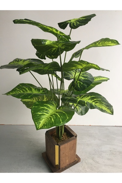 NONYA Ahşap  Ceviz Altın Sarısı Detaylı Saksılı  Difenbahya Yapay Çiçek 18 Dal Yaprak 70 cm Saksı Dahil