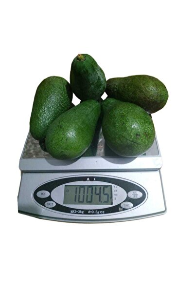 Alanya Özlem Avokado Dalından Taze Net En Az 1 Kg (3-6ADET ARASI)
