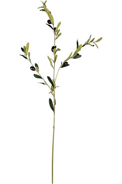 STOREMAX MU-ARTSHOP Flora Τεχνητό κλαδί ελιάς 83 cm tnca 871301