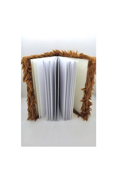 Dolphin Brown Plush Keepsake Book Fashion Pn-625