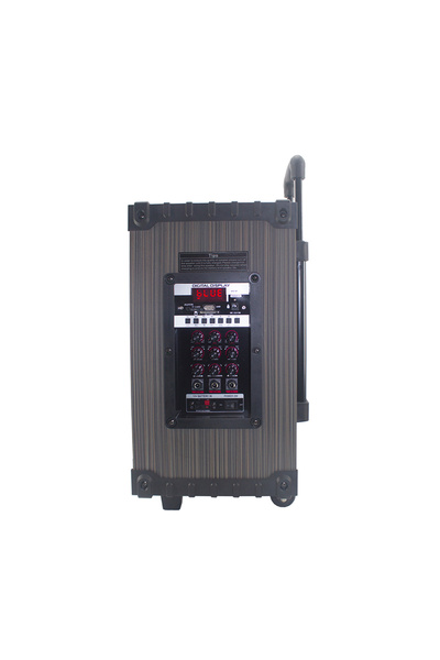 Genel Markalar LT-908 Dijital LED Göstergeli FM Radyolu Mikrofonlu TWS 8 inç Stereo Bass Kablosuz Karaoke Hopa