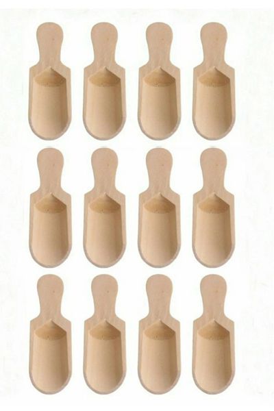 ŞAKİLATA CONCEPT 12 Mini Shovel Spice Spoons