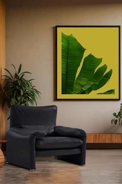 BEKALIVING Proteo Deri Berjer Füme