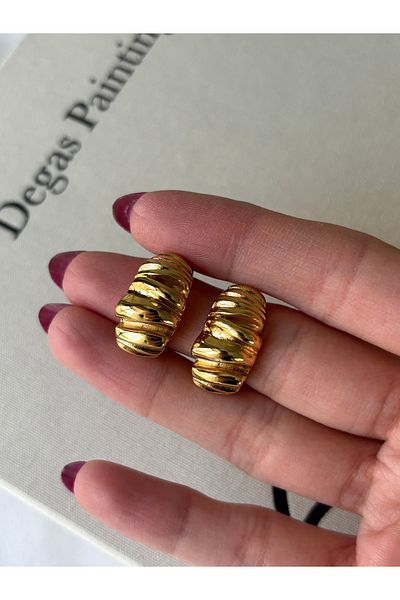 ringbox Steel Tarnish Amorphous Shape C Earrings