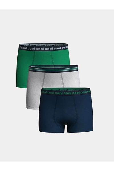 LC Waikiki Green Boy's Boxer 3-pack