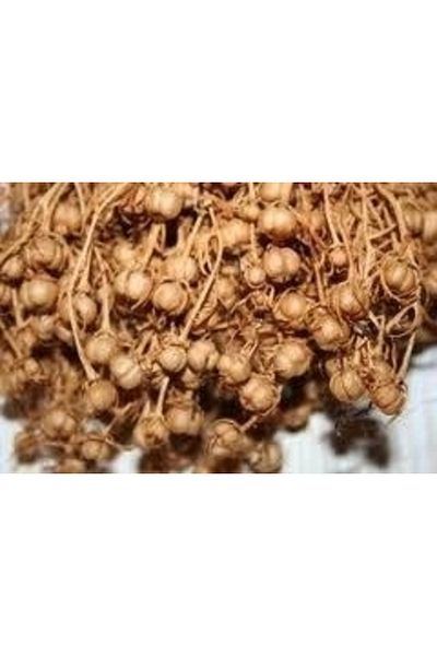 DVD Lokman Aktar Herb of Overlord 30 Gr (Pack-Plant) 1 Piece