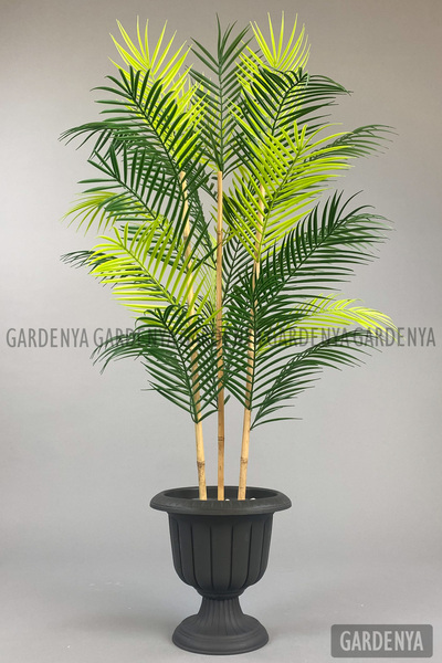 Gardenya 125cm Areka Ağacı 24 yapraklı Nergiz Saksıda