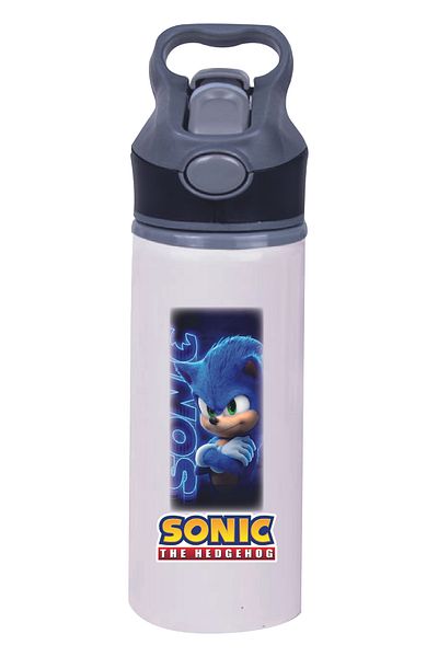 DKDZ SHOP Sonic Printed Metal Water Bottle with Straw - Water Flask - 650ml - 002
