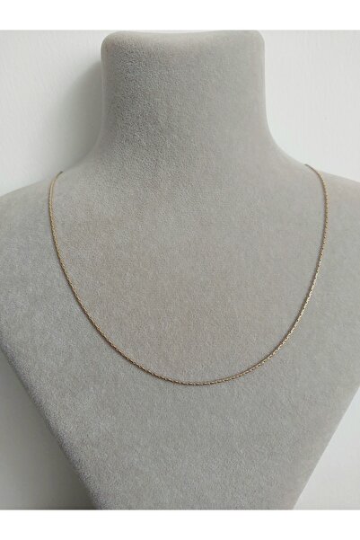 Alexis Carrel Unisex İnce Çelik Kolye, Kobra Zincir Kolye