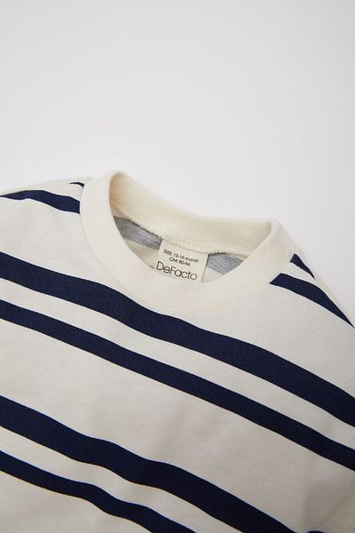 DeFacto Baby Boy Crew Neck Striped Long Sleeve T-Shirt D7738A525Sp