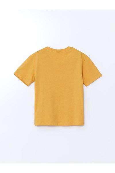 LC Waikiki Crew Neck Boy's T-Shirt