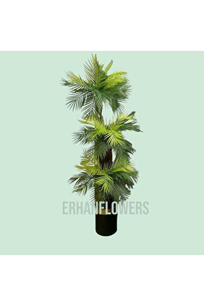 ERHAN FLOWERS ÇİÇEK & DEKORASYON 170 cm yapay areka ağacı