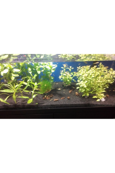 Vitasand 5kg Siyah Bitki Kumu Pro-89 ( Pro Serisi ) Yıkanmış