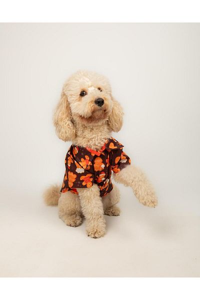 Buf & Buf Cookie - Summer Cat Dog Shirt Small Medium Breed Custom Printed