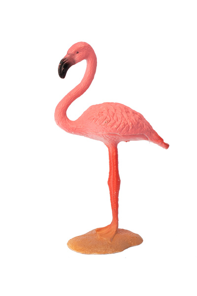 Fab N Funky Bird Figure Set, Meticulously Detailed, Durable, Realistic Features, 3 Years+, 38cm - 10 Pieces
