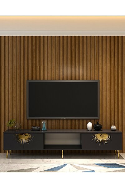 DEMONTE DECOR Nidadd Tv Sehpası Antrasit Gümüş