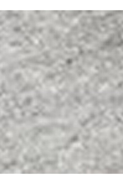 Levi's Levis Sweatshorts