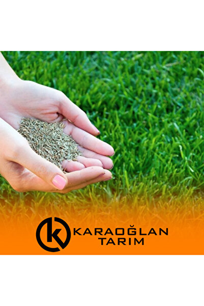 karaoğlan tarım 7 Günde Çimlenen 7'li Karışım Basmaya Ve Soğuklara Dayanıklı Çim Tohumu 1 Kg