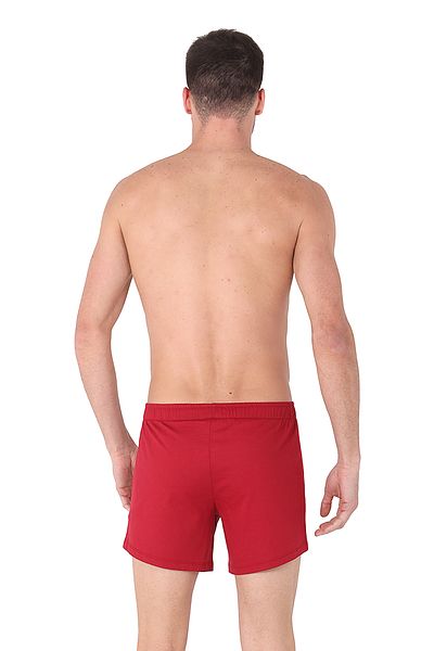 D'S Damat Φυσικό Boxer 2 συσκευασιών Navy-μπορντό