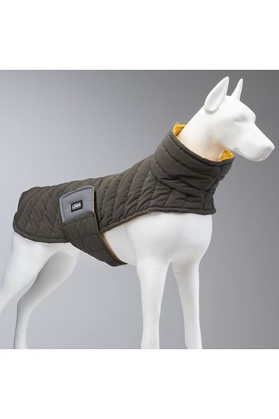 Lindodogs Air Puff Mango Small, Medium and Large Breed Dog Outfit